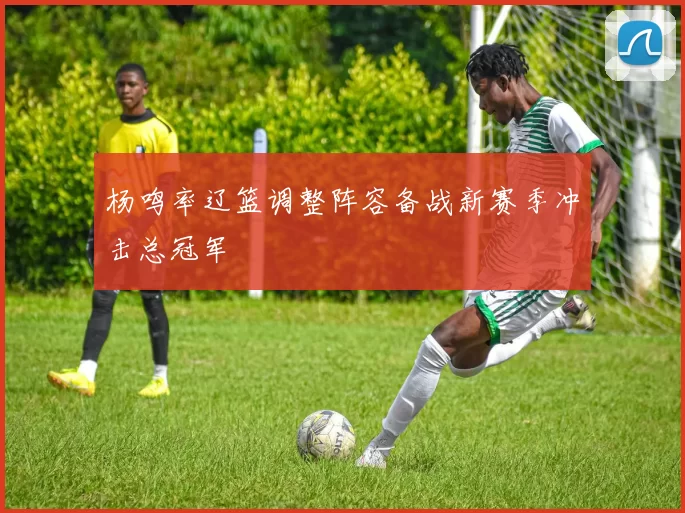 杨鸣率辽篮调整阵容备战新赛季冲击总冠军