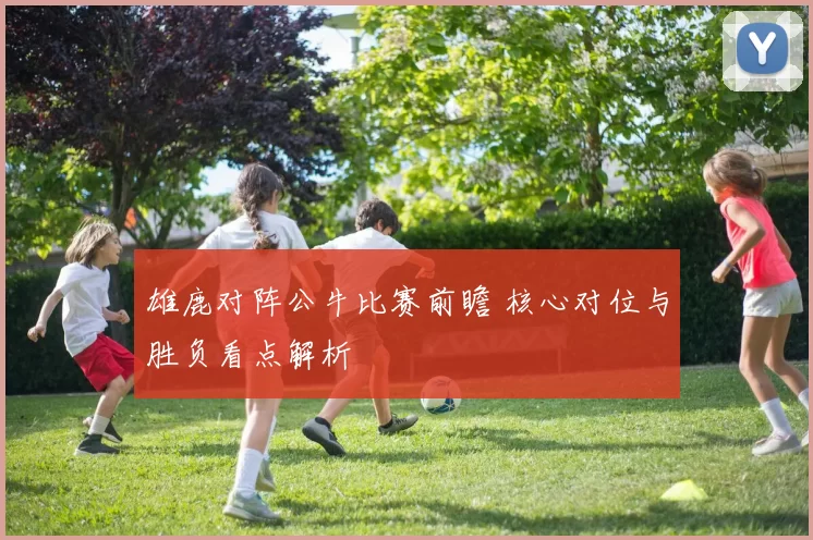 雄鹿对阵公牛比赛前瞻 核心对位与胜负看点解析